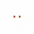 Rose Spark - 18K Gold Earrings with Ruby