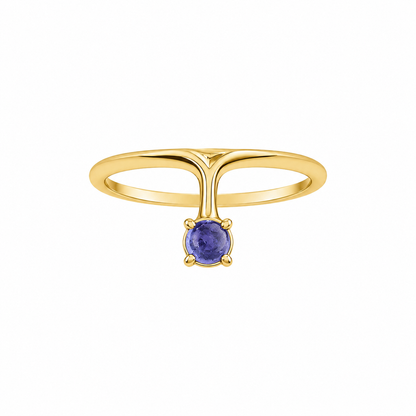 Iolite Ray - 18K Gold Ring with Iolite by Bed of Stones Jewelry
