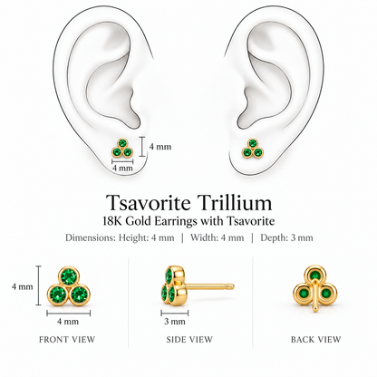Tsavorite Trillium Earrings by Bed of Stones Jewelry, illustration showing ear placement